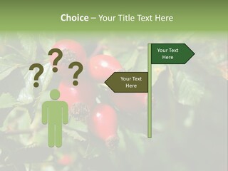 Giving Closeup Rosehip PowerPoint Template