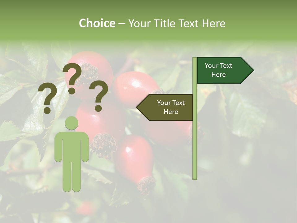 Giving Closeup Rosehip PowerPoint Template