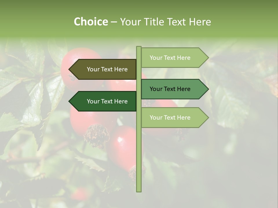 Giving Closeup Rosehip PowerPoint Template
