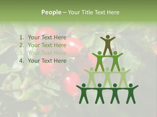 Giving Closeup Rosehip PowerPoint Template