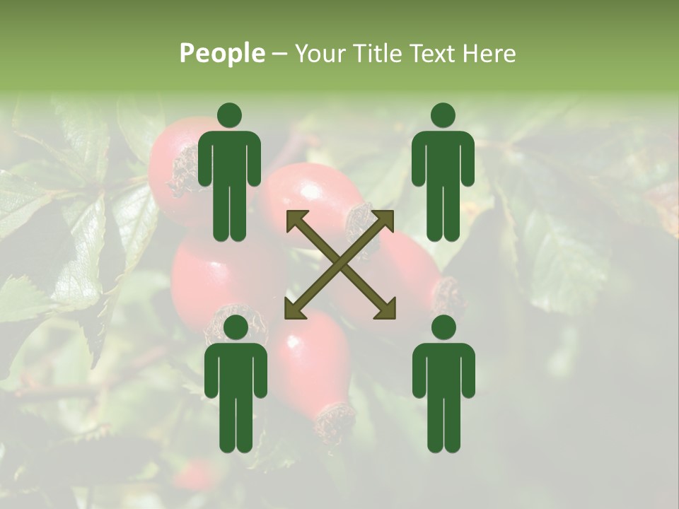 Giving Closeup Rosehip PowerPoint Template