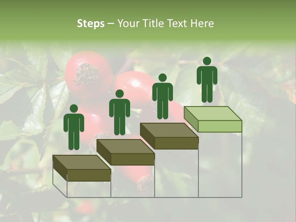 Giving Closeup Rosehip PowerPoint Template