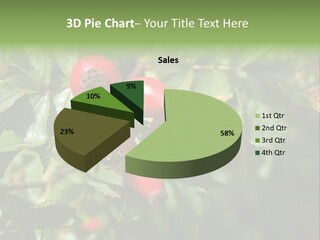 Giving Closeup Rosehip PowerPoint Template