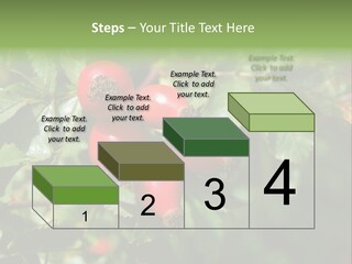 Giving Closeup Rosehip PowerPoint Template