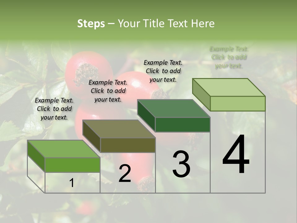 Giving Closeup Rosehip PowerPoint Template