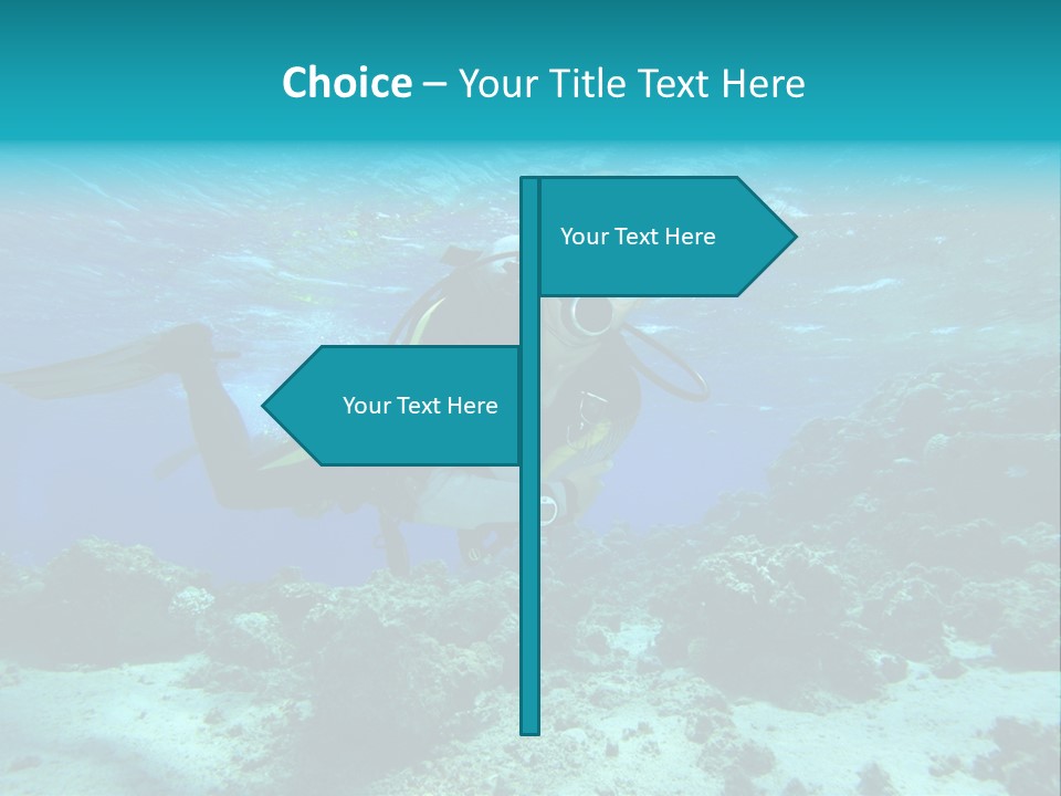 Marine Male Tropical Fish PowerPoint Template