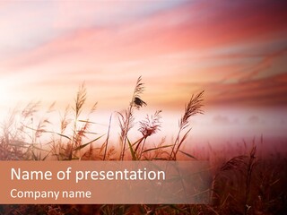 Meadow Season Rural PowerPoint Template