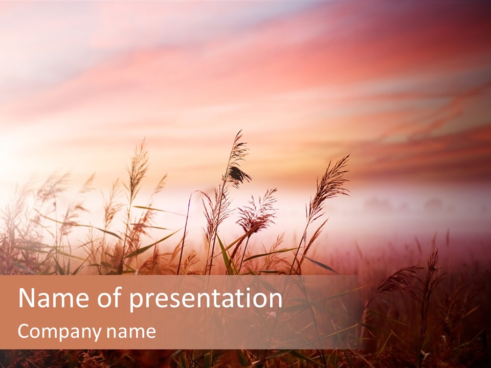 Meadow Season Rural PowerPoint Template