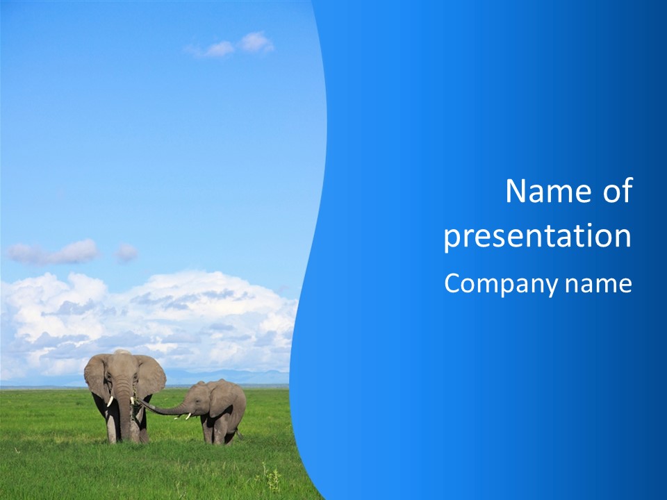 Safari Trunk Touch PowerPoint Template