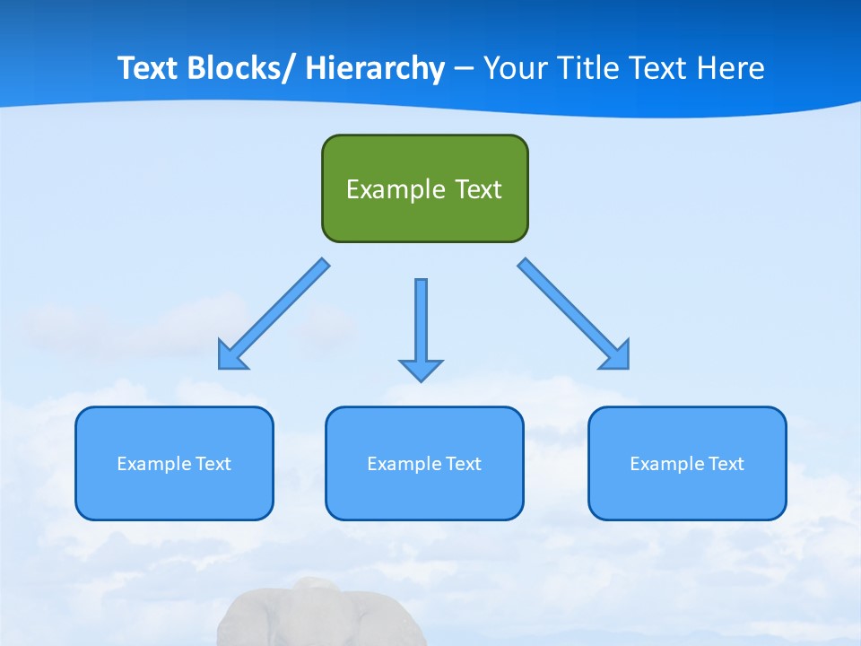 Safari Trunk Touch PowerPoint Template
