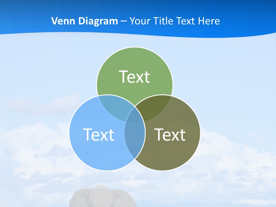 Safari Trunk Touch PowerPoint Template