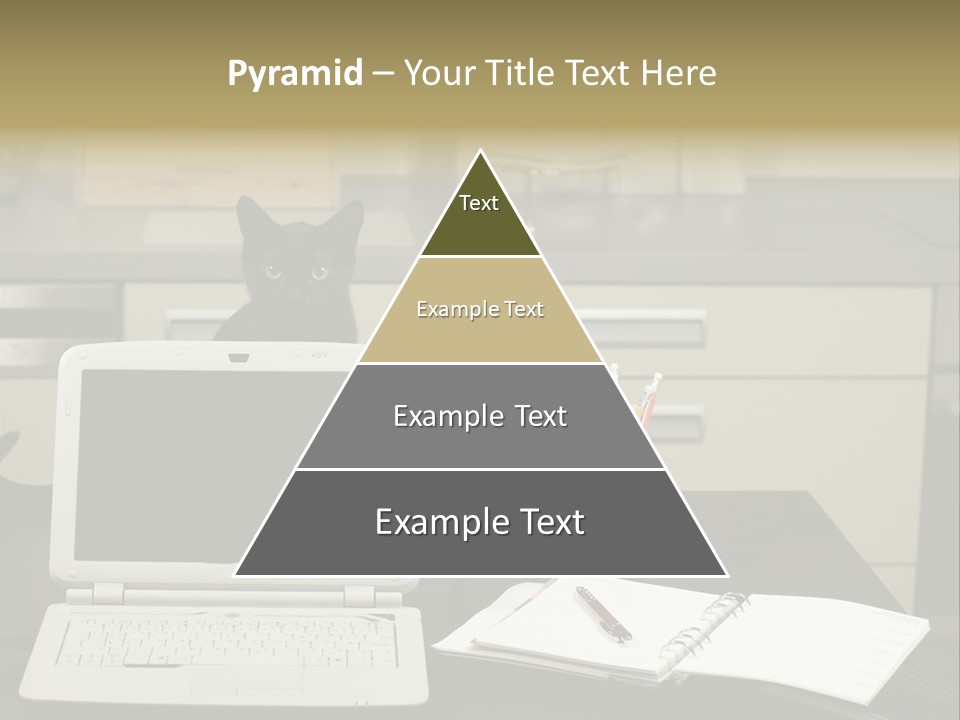 Indoors Workplace Curious PowerPoint Template
