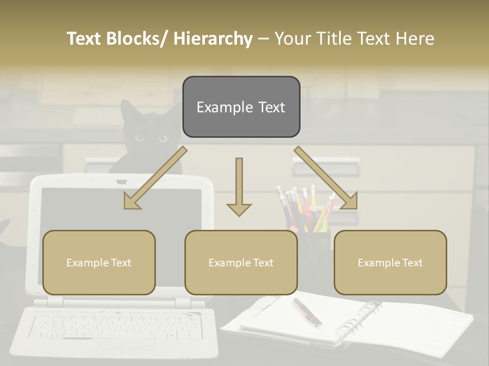 Indoors Workplace Curious PowerPoint Template