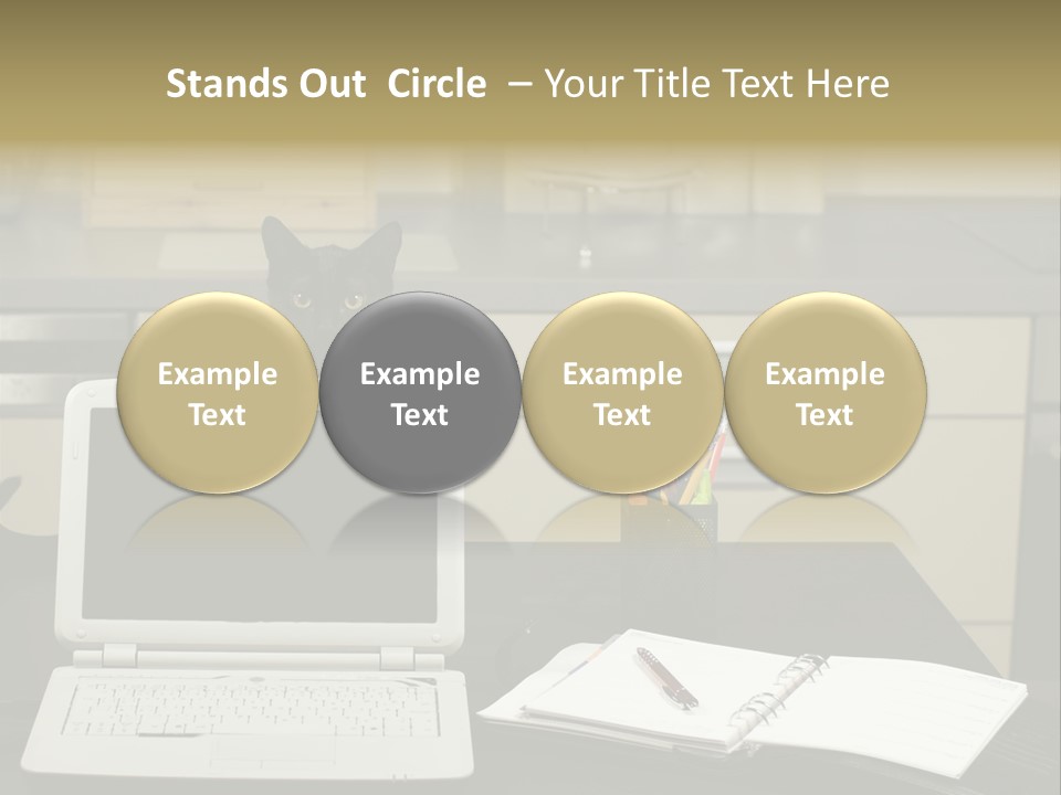 Indoors Workplace Curious PowerPoint Template