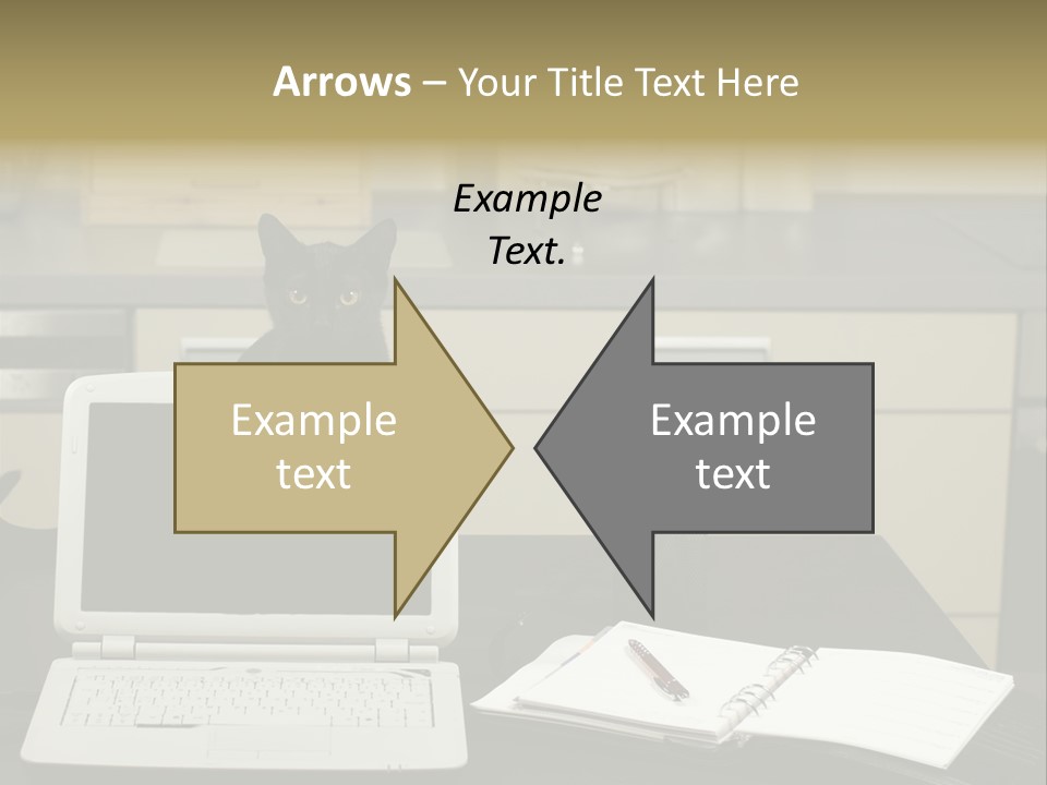 Indoors Workplace Curious PowerPoint Template