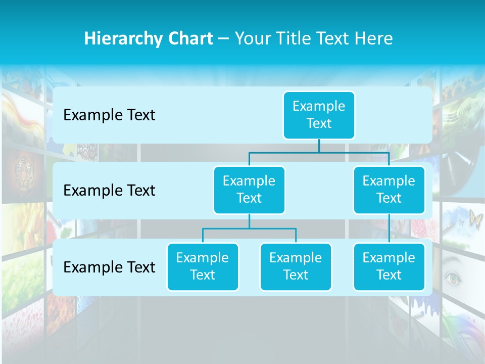 Equipment Flat Gallery PowerPoint Template