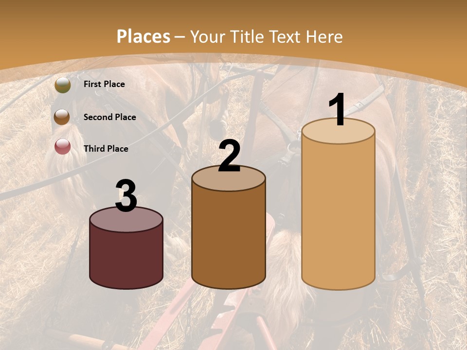 Animal Large Work PowerPoint Template