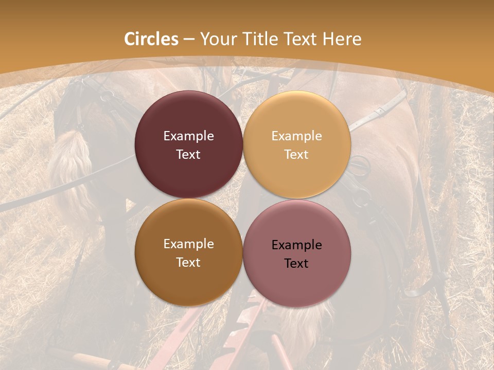 Animal Large Work PowerPoint Template