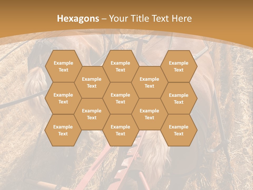 Animal Large Work PowerPoint Template