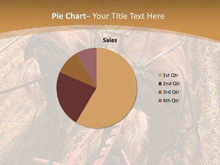 Animal Large Work PowerPoint Template