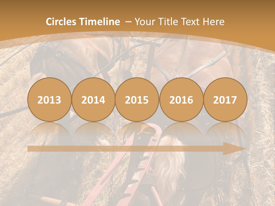 Animal Large Work PowerPoint Template