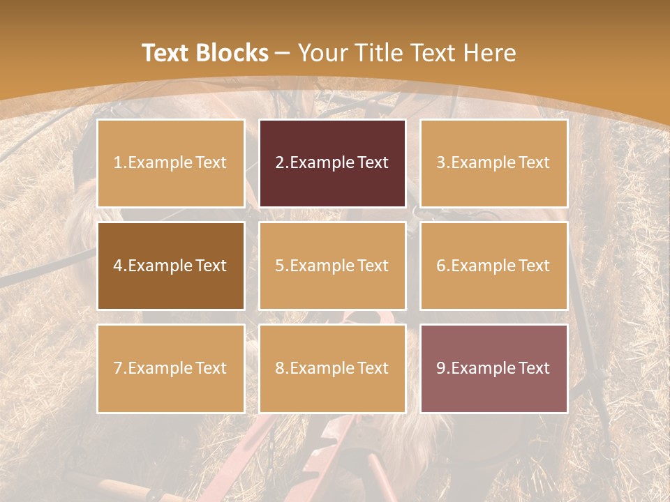 Animal Large Work PowerPoint Template