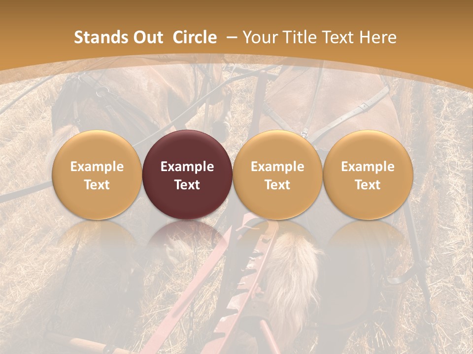 Animal Large Work PowerPoint Template