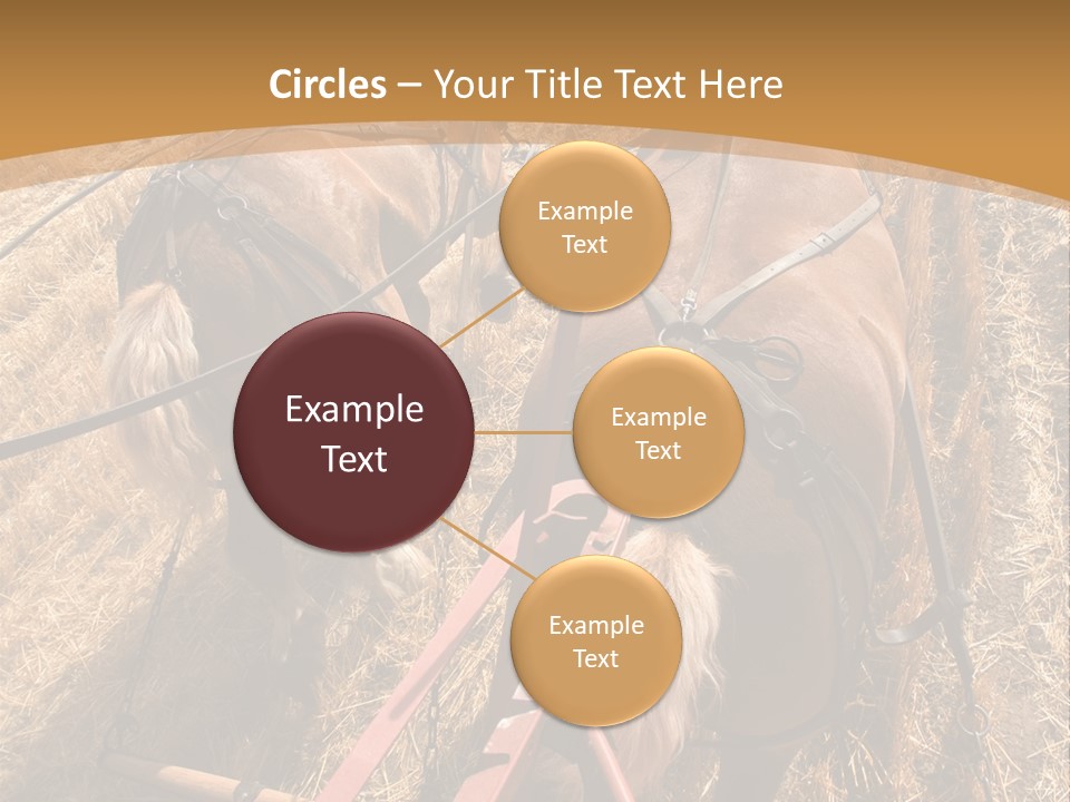 Animal Large Work PowerPoint Template