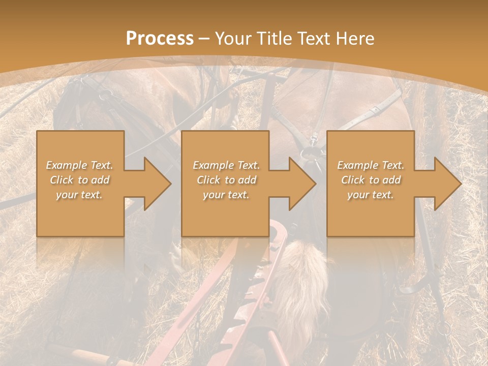 Animal Large Work PowerPoint Template