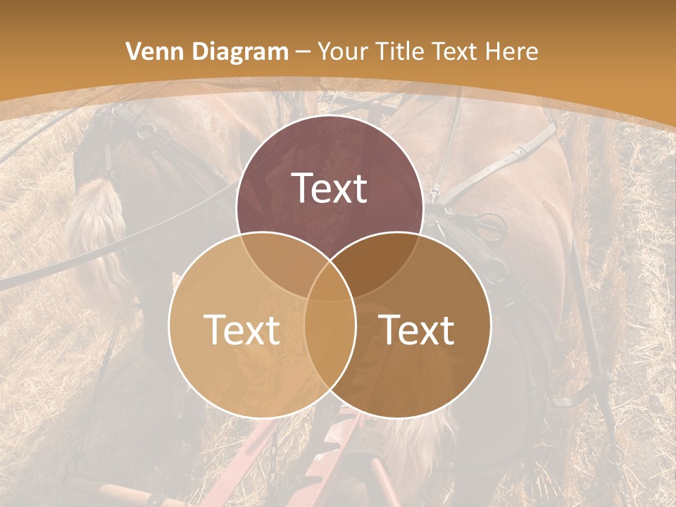 Animal Large Work PowerPoint Template