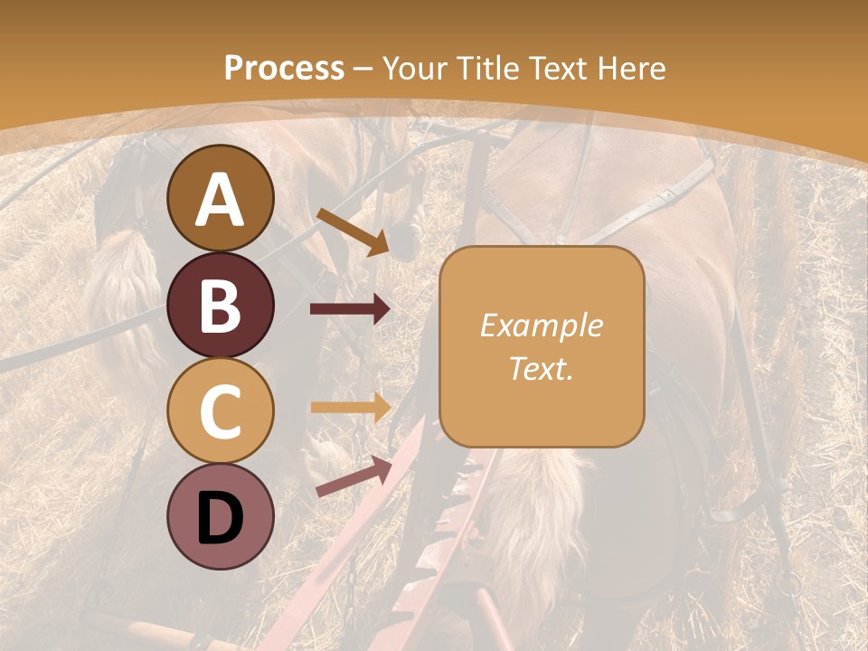 Animal Large Work PowerPoint Template