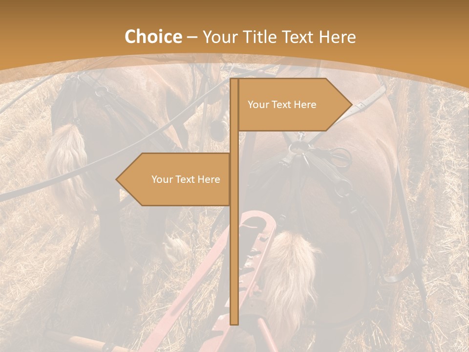 Animal Large Work PowerPoint Template