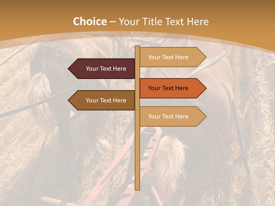 Animal Large Work PowerPoint Template