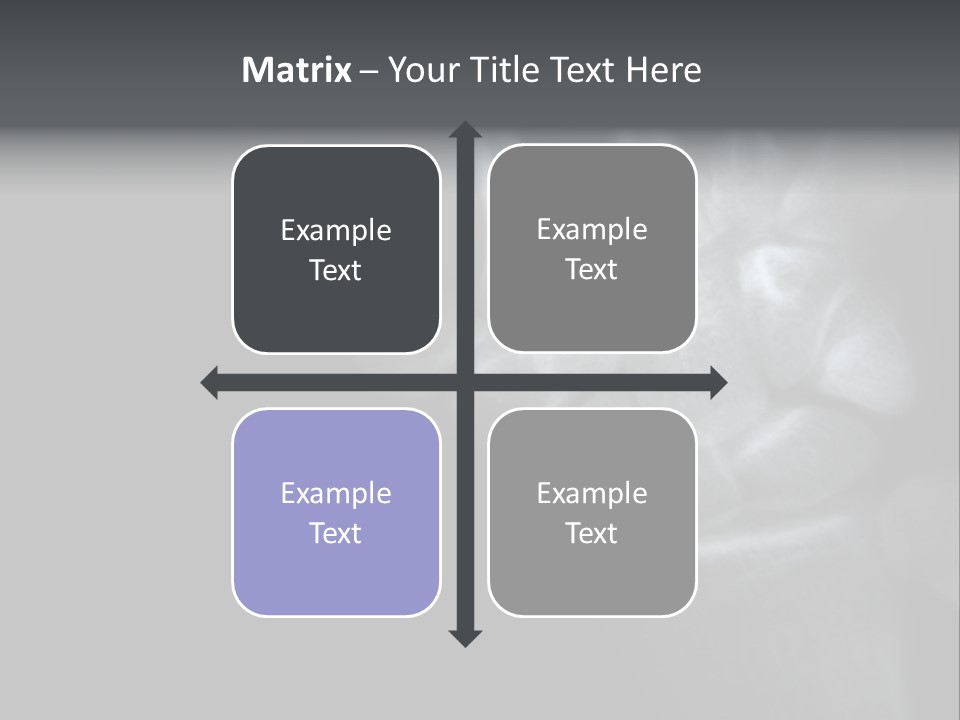 Healthcare Myocardial Infarction Biomedical PowerPoint Template