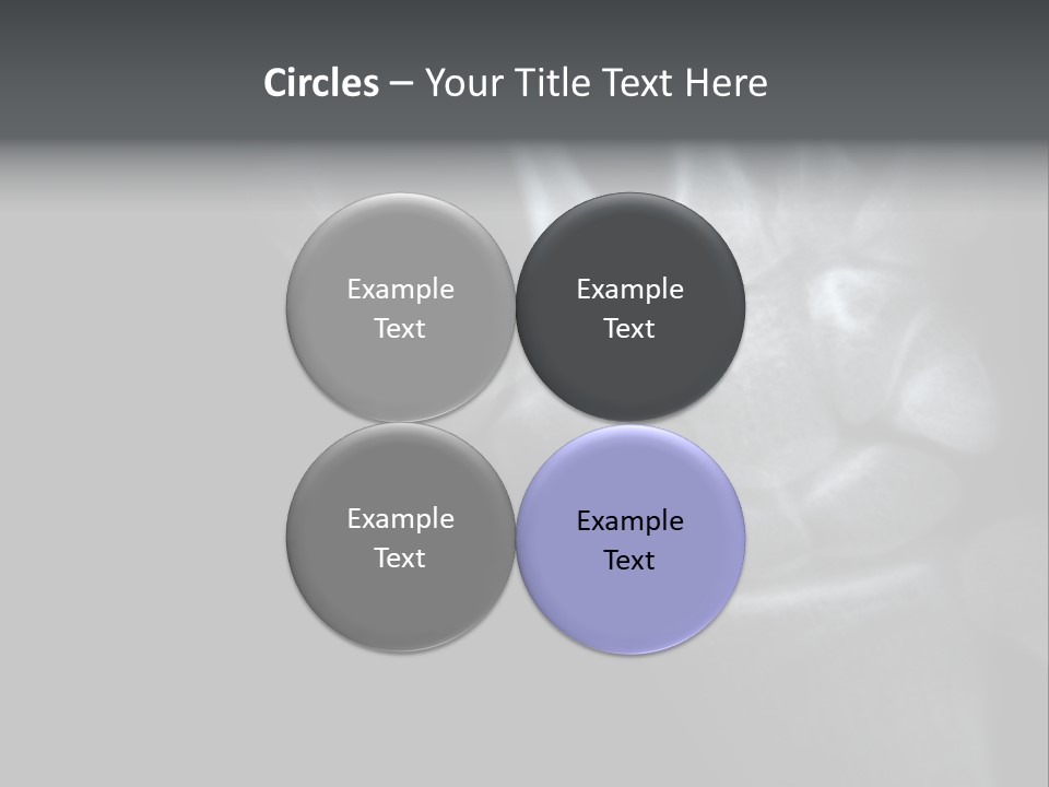 Healthcare Myocardial Infarction Biomedical PowerPoint Template