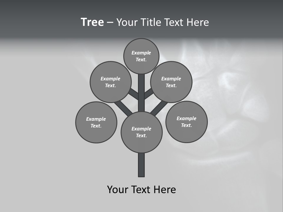 Healthcare Myocardial Infarction Biomedical PowerPoint Template