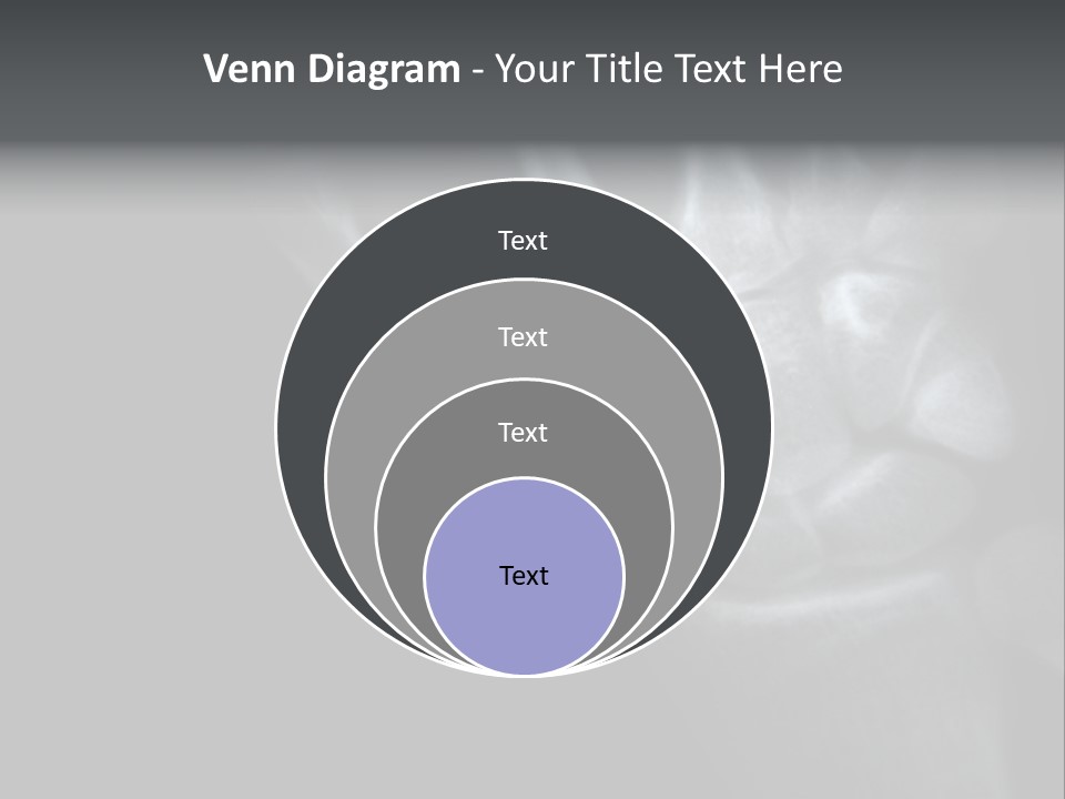 Healthcare Myocardial Infarction Biomedical PowerPoint Template