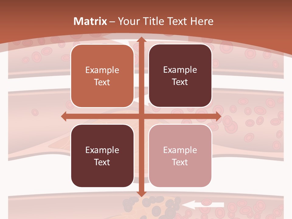 Cardiology Angina Myocardial Infarction PowerPoint Template