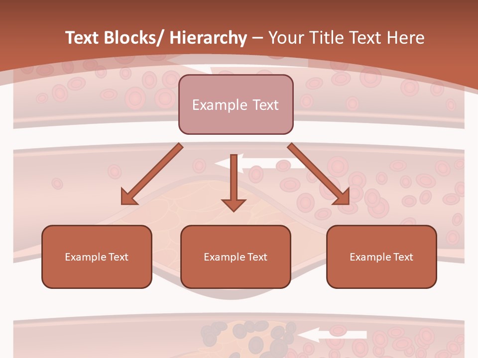 Cardiology Angina Myocardial Infarction PowerPoint Template