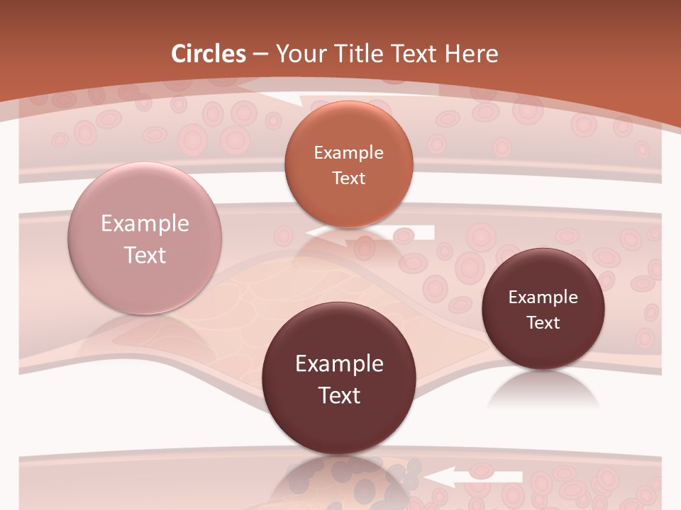 Cardiology Angina Myocardial Infarction PowerPoint Template