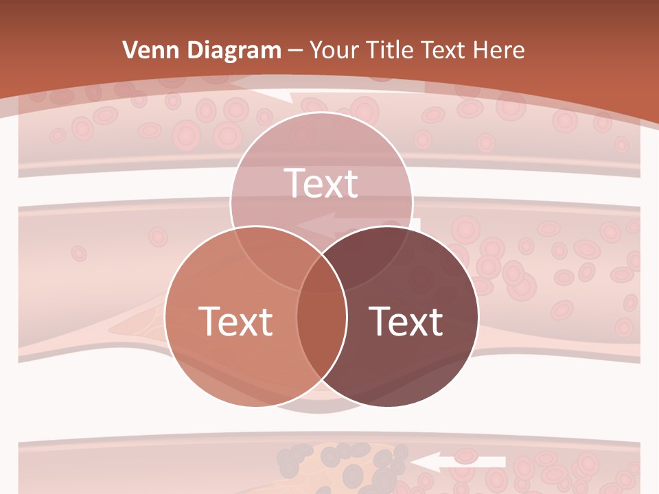 Cardiology Angina Myocardial Infarction PowerPoint Template