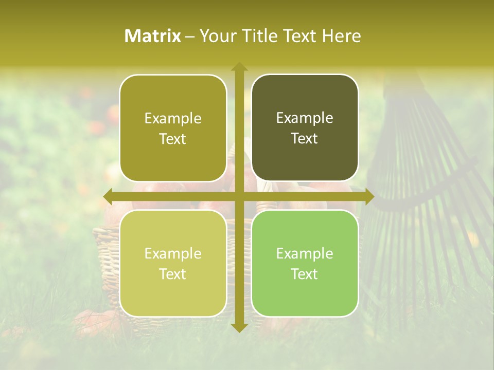 Basket Outdoors Season PowerPoint Template