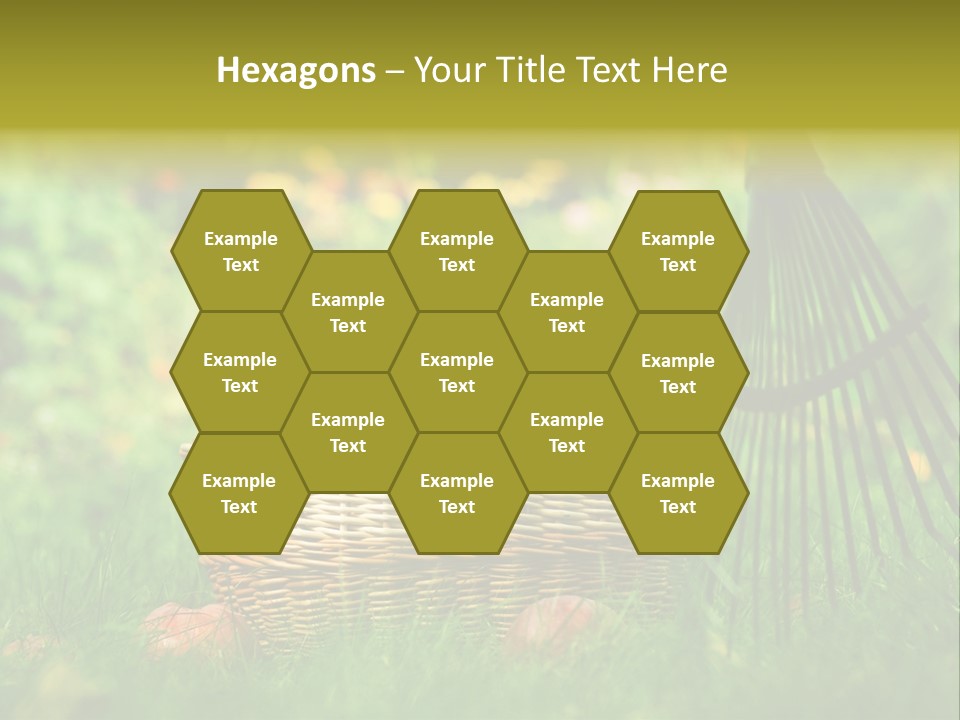 Basket Outdoors Season PowerPoint Template