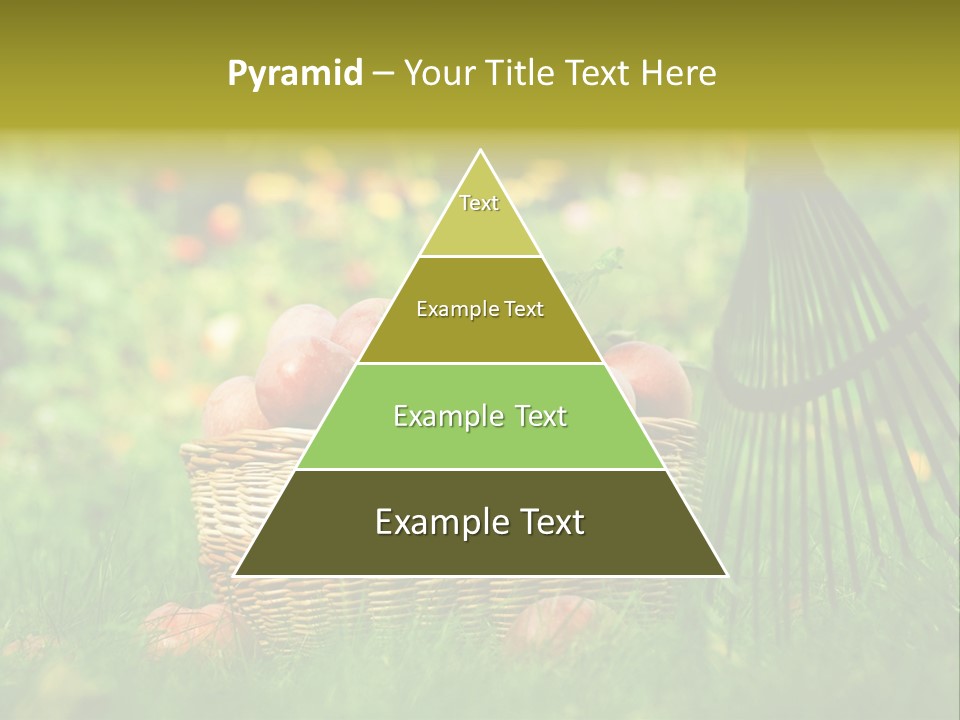 Basket Outdoors Season PowerPoint Template