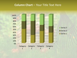 Basket Outdoors Season PowerPoint Template