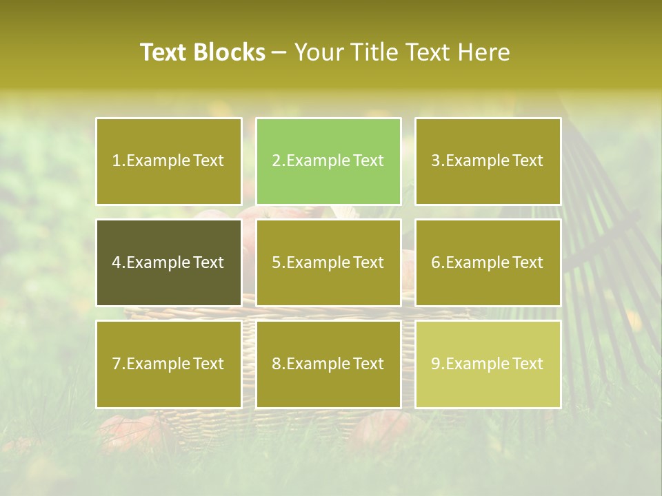 Basket Outdoors Season PowerPoint Template