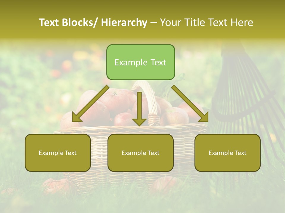 Basket Outdoors Season PowerPoint Template