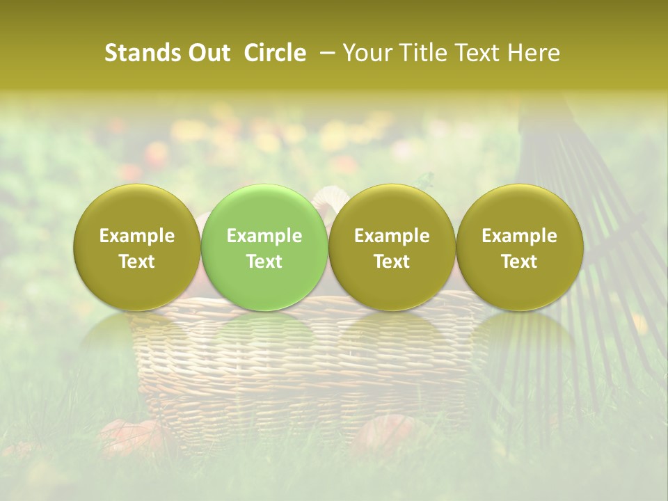 Basket Outdoors Season PowerPoint Template