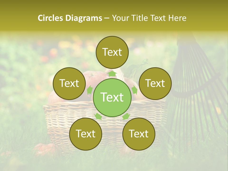 Basket Outdoors Season PowerPoint Template