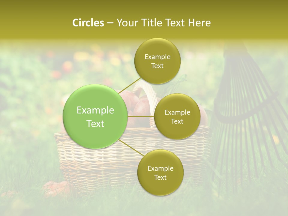 Basket Outdoors Season PowerPoint Template